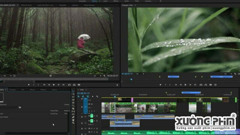 Adobe Premiere Xưởng Phim dựng phim