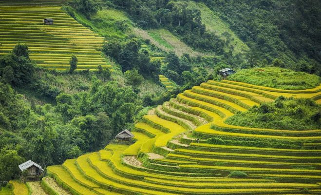 Bối cảnh tĩnh